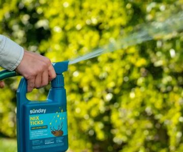 How to Use Low-Toxic Sprays Safely