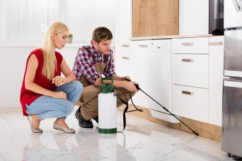 How to Choose a Reliable Local Exterminator
