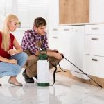 How to Choose a Reliable Local Exterminator