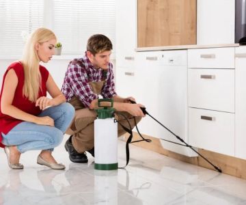 How to Choose a Reliable Local Exterminator
