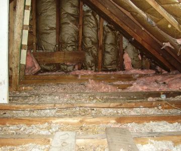 How to Spot Pest Damage in Attic Insulation