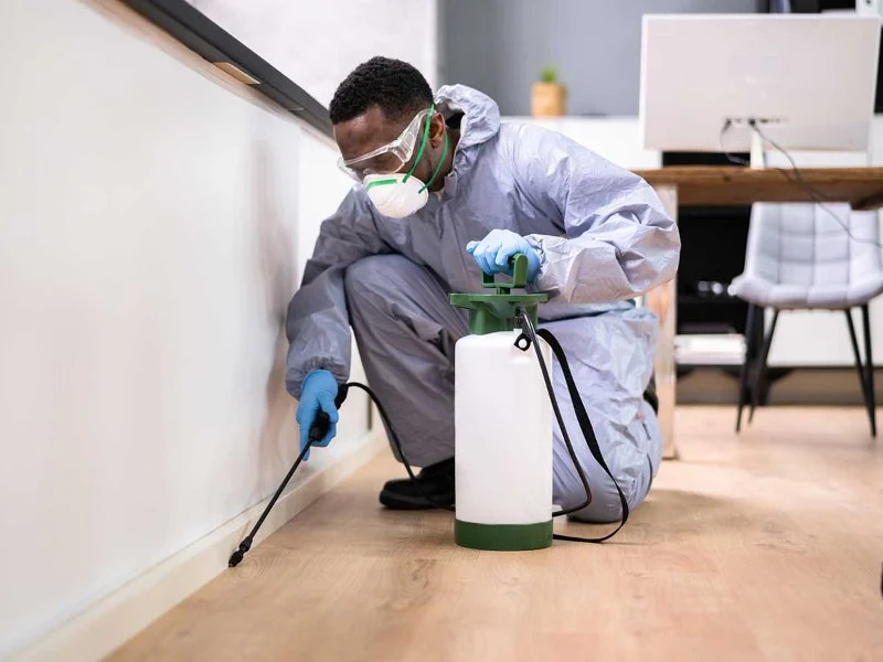 The Cost of Pest Control: What You Should Expect to Pay