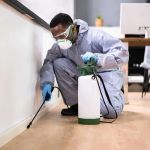 The Cost of Pest Control: What You Should Expect to Pay