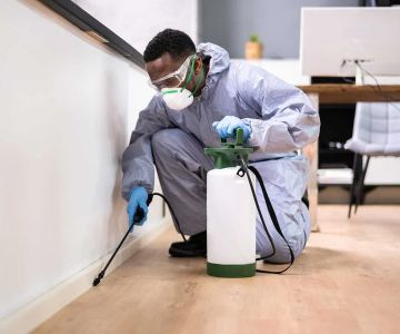 The Cost of Pest Control: What You Should Expect to Pay