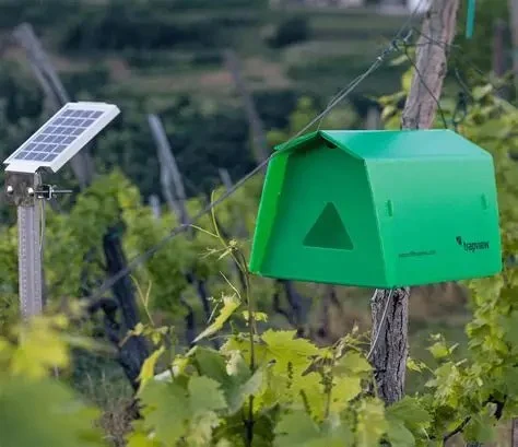 How to Use Smart Devices to Track Pest Locations