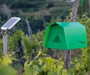 How to Use Smart Devices to Track Pest Locations