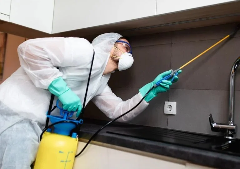 How to Control Pests in Crawl Spaces: Effective Methods for a Pest-Free Home