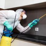 How to Control Pests in Crawl Spaces: Effective Methods for a Pest-Free Home