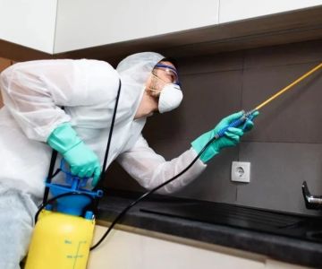 How to Control Pests in Crawl Spaces: Effective Methods for a Pest-Free Home