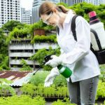 How to Monitor Pest Trends Post Treatment: Tips for Ongoing Control