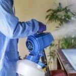 How to Safely Use Fumigation Methods: A Comprehensive Guide for Homeowners