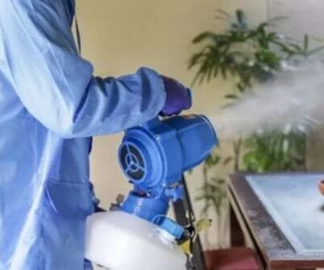 How to Safely Use Fumigation Methods: A Comprehensive Guide for Homeowners