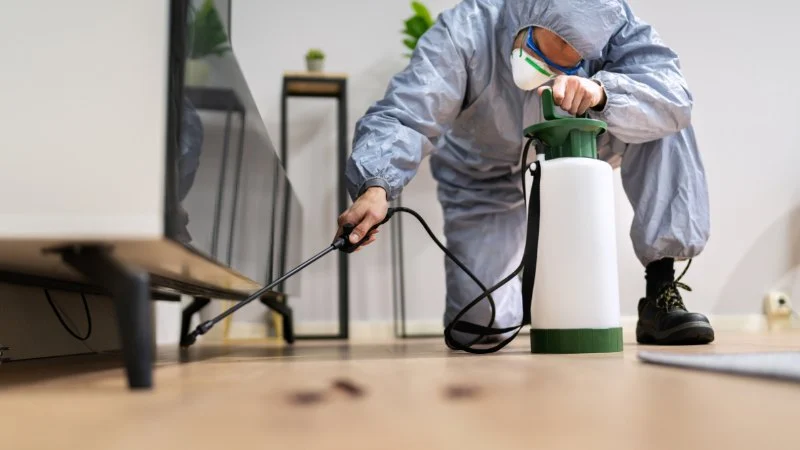 How to Inspect Second-Hand Furniture for Pests: Expert Tips for a Pest-Free Home