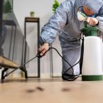 How to Inspect Second-Hand Furniture for Pests: Expert Tips for a Pest-Free Home