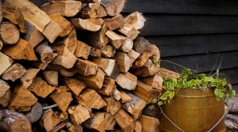 How to Prevent Pest Spread via Firewood: Essential Tips for Protecting Your Home