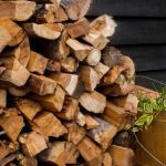 How to Prevent Pest Spread via Firewood: Essential Tips for Protecting Your Home
