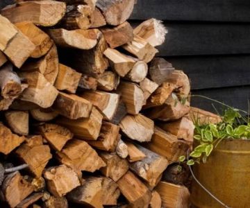 How to Prevent Pest Spread via Firewood: Essential Tips for Protecting Your Home