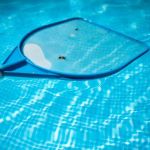 How to Deal With Pest Issues Near Pools – Effective Control Tips
