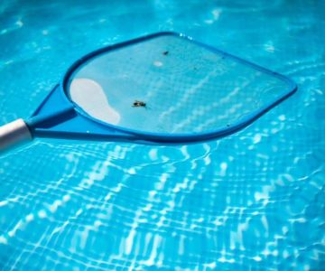 How to Deal With Pest Issues Near Pools – Effective Control Tips