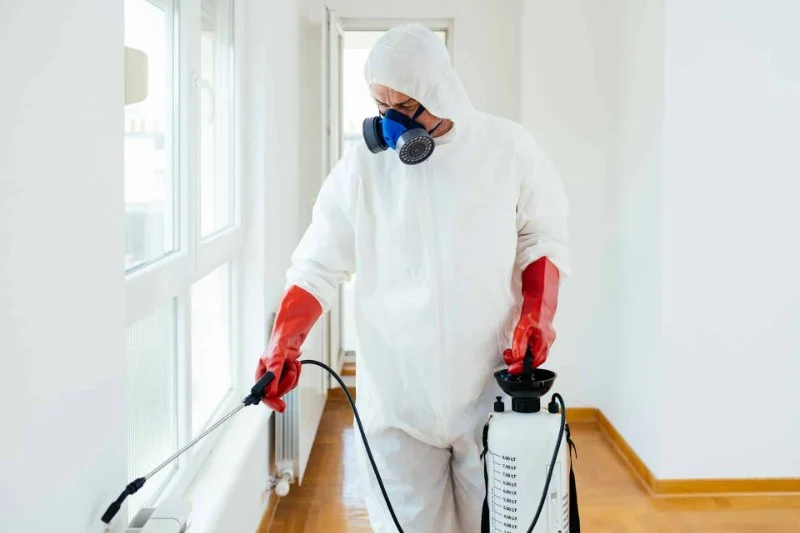 How to Use Low-Toxicity Sprays in Sensitive Areas – Safe Pest Control Solutions