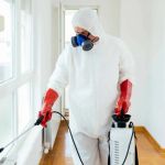 How to Use Low-Toxicity Sprays in Sensitive Areas – Safe Pest Control Solutions