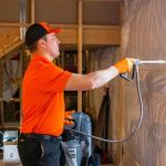 How to Prevent Pest Growth in Basements – Effective Solutions and Tips