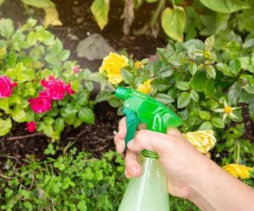 How to Address Pest Issues in Spring Planting – Practical Solutions for Gardeners