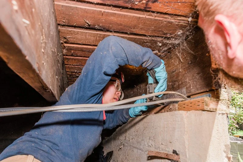 How to Use Smoke Tests to Reveal Pest Entry Points – A Simple Guide