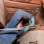 How to Use Smoke Tests to Reveal Pest Entry Points – A Simple Guide