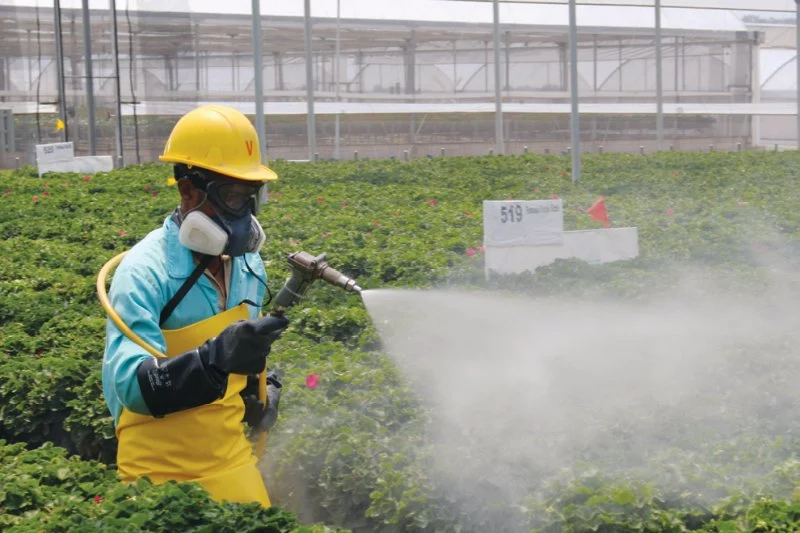 How to Monitor Pest Trends After Treatment for Effective Control