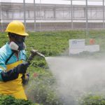 How to Monitor Pest Trends After Treatment for Effective Control