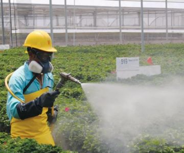 How to Monitor Pest Trends After Treatment for Effective Control