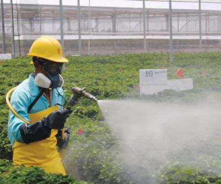 How to Monitor Pest Trends After Treatment for Effective Control