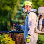 How to Plan Pest Control in Subdivisions: Effective Strategies for Managing Pests