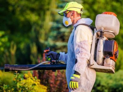 How to Plan Pest Control in Subdivisions: Effective Strategies for Managing Pests