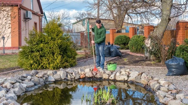 How to Deal With Pest Infestations Near Water Features