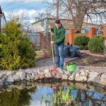 How to Deal With Pest Infestations Near Water Features