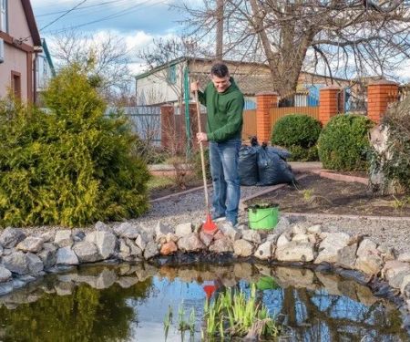 How to Deal With Pest Infestations Near Water Features