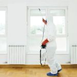 DIY vs Professional Pest Control: Which One Saves You Money?