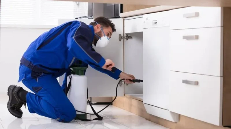 How to Use Low-Toxicity Treatments Around Living Areas for Safe Pest Control