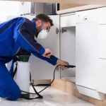 How to Use Low-Toxicity Treatments Around Living Areas for Safe Pest Control