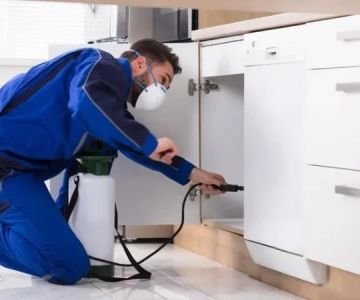 How to Use Low-Toxicity Treatments Around Living Areas for Safe Pest Control