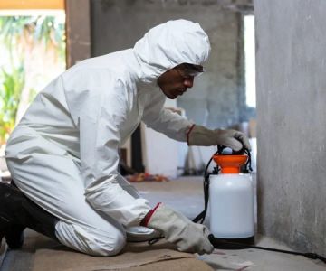 How to Prevent Pest Migration Between Buildings | Pest Control Tips