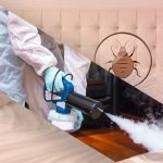 How to Safely Use Heat Treatments for Bed Bugs