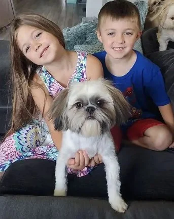 Natural Pest Control Methods That Are Safe for Kids and Pets