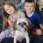 Natural Pest Control Methods That Are Safe for Kids and Pets