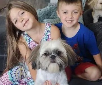 Natural Pest Control Methods That Are Safe for Kids and Pets