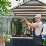How to Stage a Pest Control Plan for New Homeowners