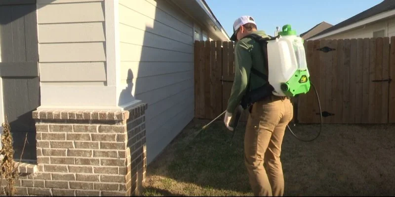 What to Do Immediately After Spotting a Pest in Your Home: Essential First Steps
