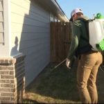 What to Do Immediately After Spotting a Pest in Your Home: Essential First Steps